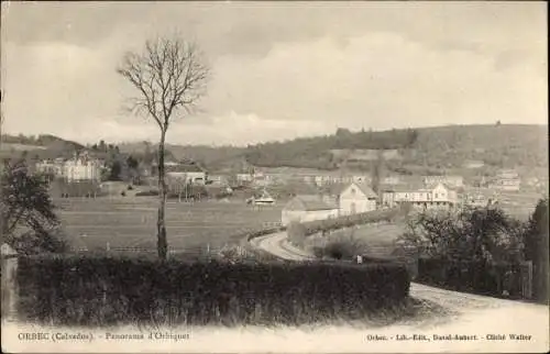 Ak Orbec Calvados, Panorama d'Orbiquet