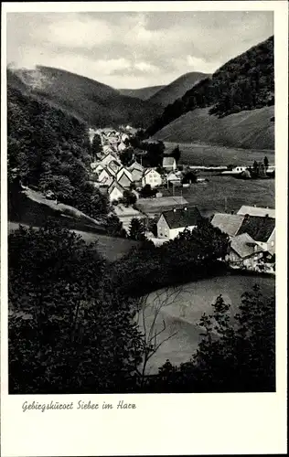 Ak Sieber Herzberg am Harz, Panorama