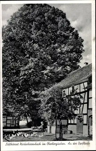 Ak Niederbierenbach Bierenbachtal Nümbrecht im Oberbergischen Kreis, Dorflinde