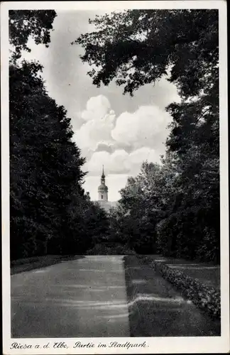 Ak Riesa an der Elbe Sachsen, Partie im Stadtpark