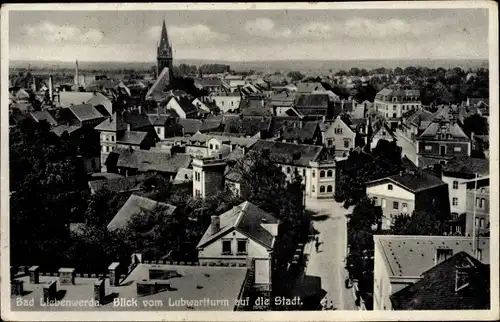 Ak Bad Liebenwerda, Blick vom Lubwartturm auf die Stadt