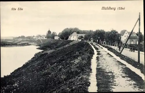 Ak Mühlberg an der Elbe, Alte Elbe