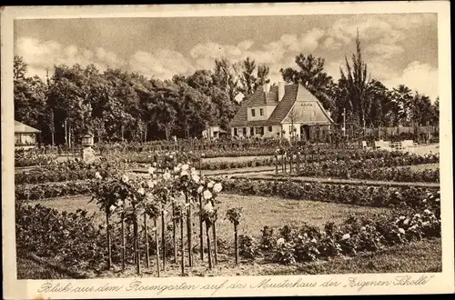 Ak Forst in der Niederlausitz, Rosen- u. Gartenbauausstellung 1913, Musterhaus der Eigenen Scholle