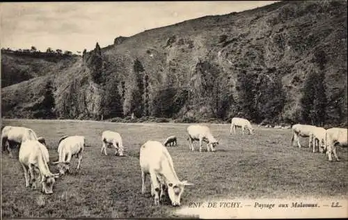 Ak Vichy Allier, Paysage aux Malavaux