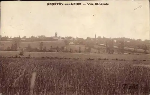 Ak Monétay sur Loire Allier, Vue Generale