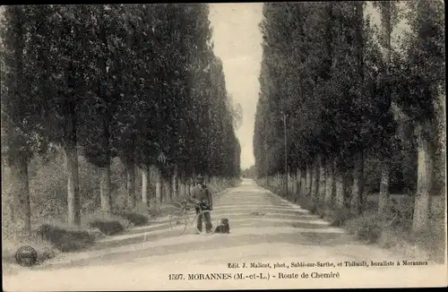 Ak Morannes Maine et Loire, Route de Chemire