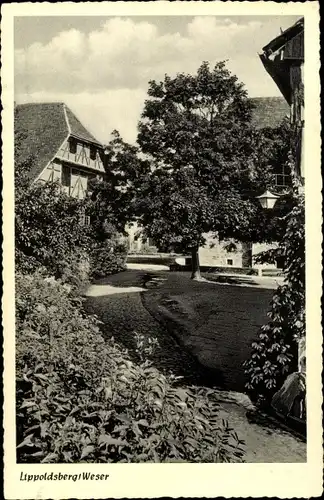 Ak Lippoldsberg Wahlsburg Weserbergland, Teilansicht der Ortschaft