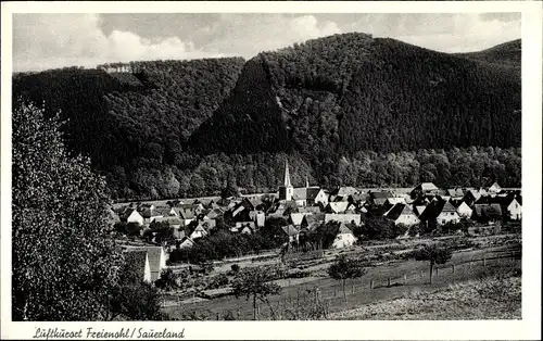 Ak Freienohl Meschede im Sauerland, Gesamtansicht