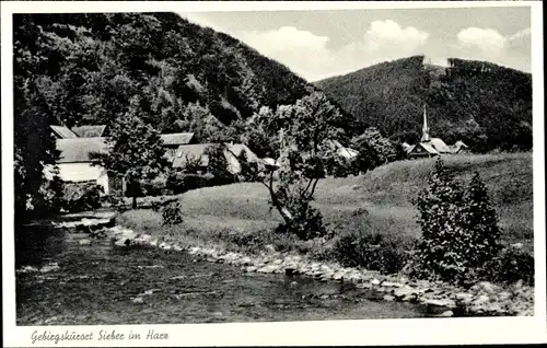 Ak Sieber Herzberg am Harz, Teilansicht