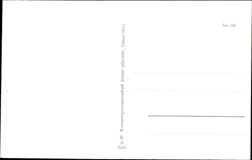 Ak Sieber Herzberg am Harz, Teilansicht