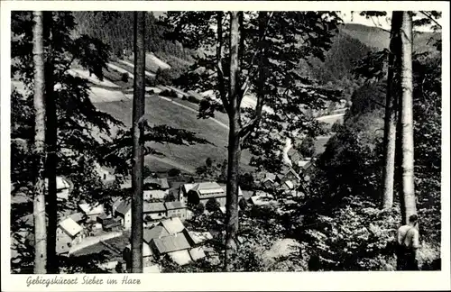 Ak Sieber Herzberg am Harz, Ort aus dem Wald gesehen