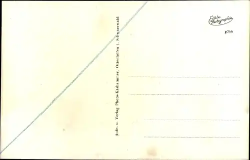 Ak Ottenhöfen im Schwarzwald, Totale