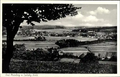 Ak Bad Meinberg am Teutoburger Wald, Gesamtansicht