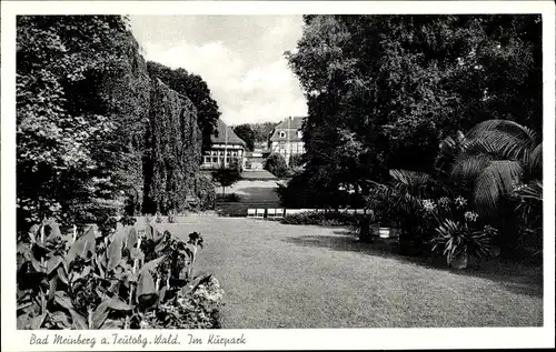 Ak Bad Meinberg am Teutoburger Wald, Im Kurpark