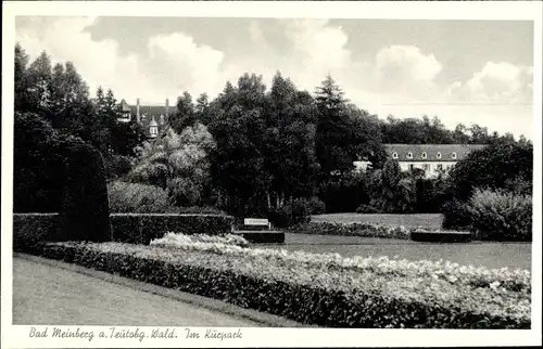 Ak Bad Meinberg im Kreis Lippe, Partie im Kurpark