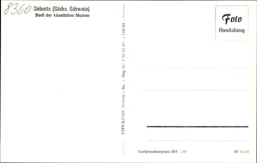 Ak Sebnitz Sächsische Schweiz, Teilansicht