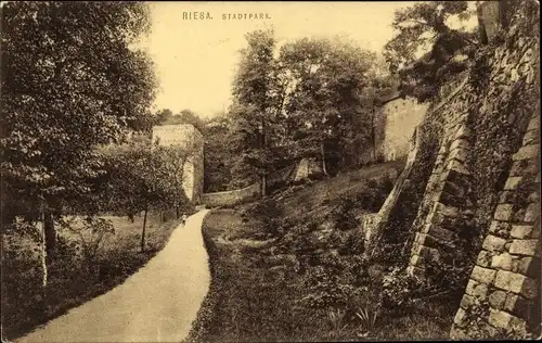 Ak Riesa an der Elbe Sachsen, Stadtpark