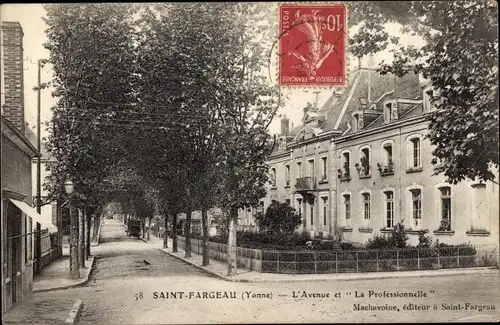 Ak Saint Fargeau Yonne, L'Avenue, La Professionnelle