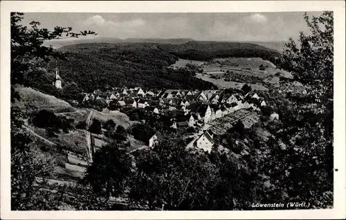 Ak Löwenstein in Württemberg, Panorama