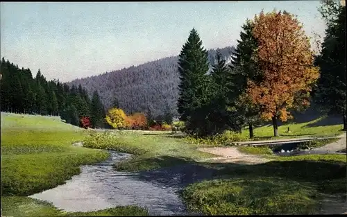 Ak Herbst in Thüringen, Motiv aus dem Ilmtal bei Stützerbach