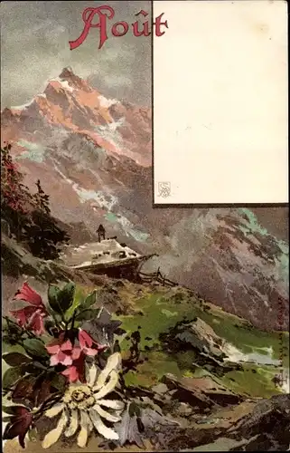 Künstler Litho Guggenberger, Monat August, Gebirgslandschaft, Bergblüten