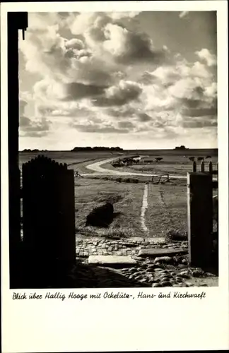 Ak Hallig Hooge in Nordfriesland, Panorama, Ockelützwarft, Hanswarft, Kirchwarft