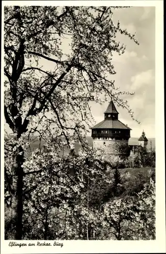 Ak Esslingen am Neckar, Burg