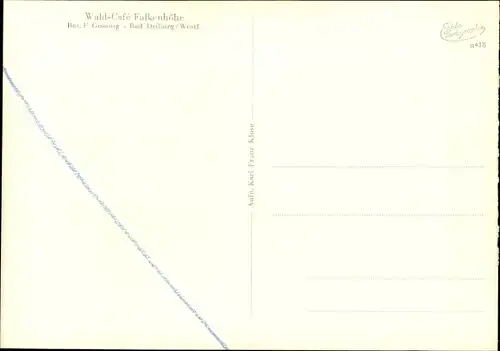Ak Bad Driburg in Westfalen, Wald Cafe Falkenhöhe