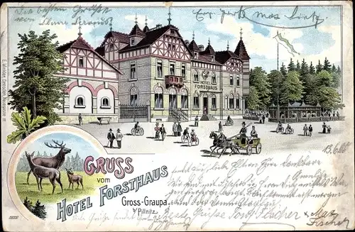 Litho Groß Graupa Pirna in Sachsen, Hotel Forsthaus, Hirsche