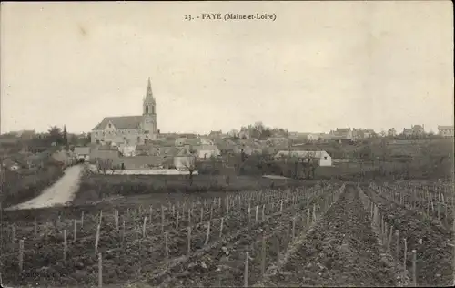 Ak Faye d’Anjou Maine et Loire, Vue generale