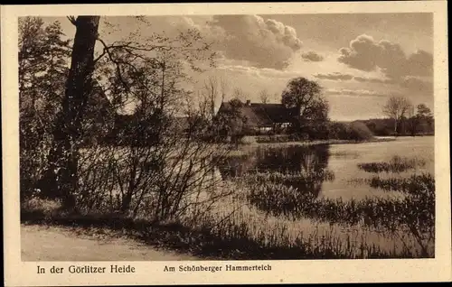 Ak Sulików Schönberg Oberlausitz Schlesien, Hammerteich, Görlitzer Heide