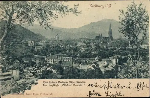 Ak Freiburg im Breisgau, Gesamtansicht