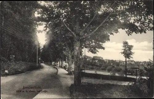 Ak Freudenstadt im Nordschwarzwald, Lauterbadstraße