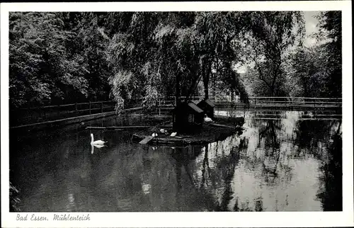 Ak Bad Essen in Niedersachsen, Mühlenteich