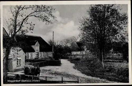 Ak Meggerdorf in Schleswig Holstein, Straßenpartie im Ort