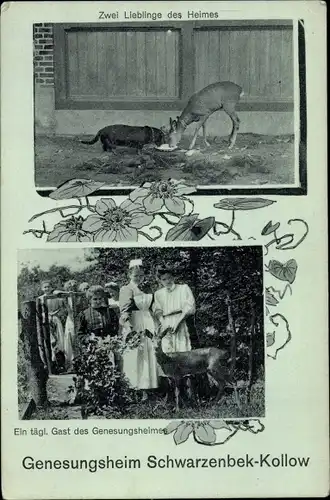 Ak Kollow in Lauenburg, Genesungsheim Schwarzenbek Kollow, Krankenschwester, Reh