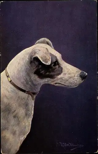 Künstler Ak Müller, A., Hundeportrait, Hund mit Halsband
