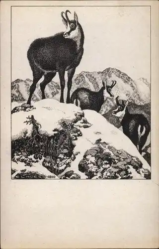 Künstler Ak Hoess, Eugen L., Auf luftiger Höhe, Gämsen im Gebirge
