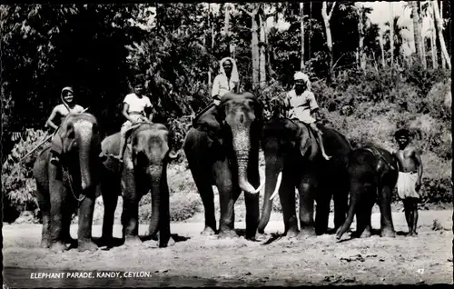 Ak Kandy Ceylon Sri Lanka, Elephant Parade, Elefanten