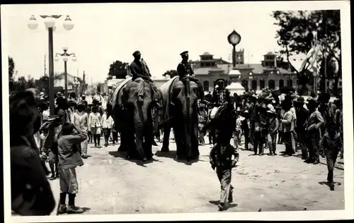 Foto Ak Elefanten mit Reitern auf einer Straße