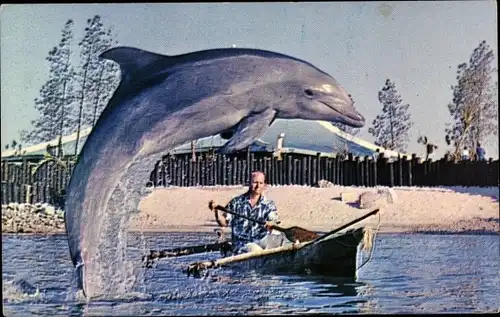 Ak Kalifornien USA, Sea World Lagoon, Sandy, bottlenose dolphin, Delfin, Mann im Kanu