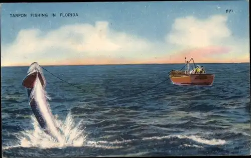 Ak Florida USA, Tarpon Fishing, Angler, Fisch