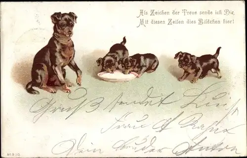 Litho Hundemutter mit ihrem Welpen, Hundekinder, Milchschüssel