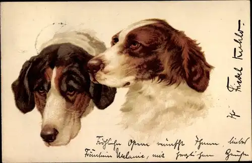 Litho Hundeportrait, Jagdhunde