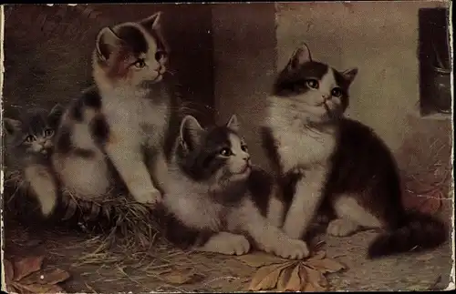 Ak Vier kleine Katzen