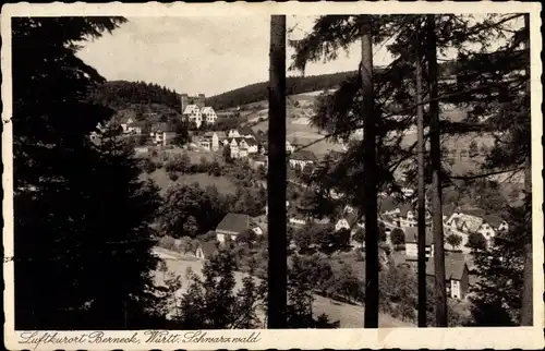 Ak Berneck Altensteig im Schwarzwald, Panorama