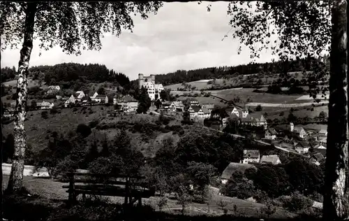 Ak Berneck Altensteig im Schwarzwald, Panorama, Gasthof Zum Rössle