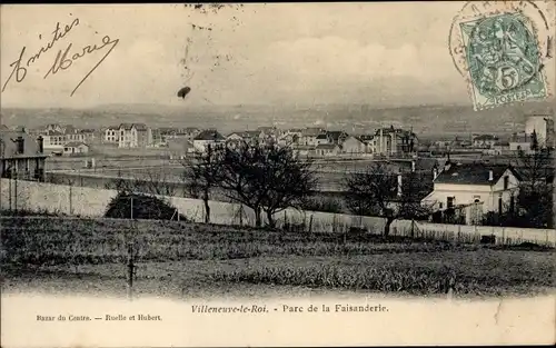 Ak Villeneuve le Roi Val de Marne, Parc de la Faisanderie