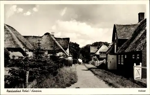 Ak Nebel auf der Insel Amrum Nordfriesland, Häuser mit Gärten, Straßenansicht