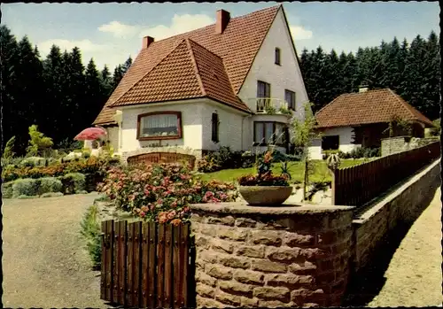 Ak Neuhaus im Solling Holzminden Niedersachsen, Sonnenhaus Pension am Mädchenberg, Gesamtansicht